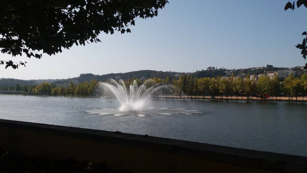 Vertical photo