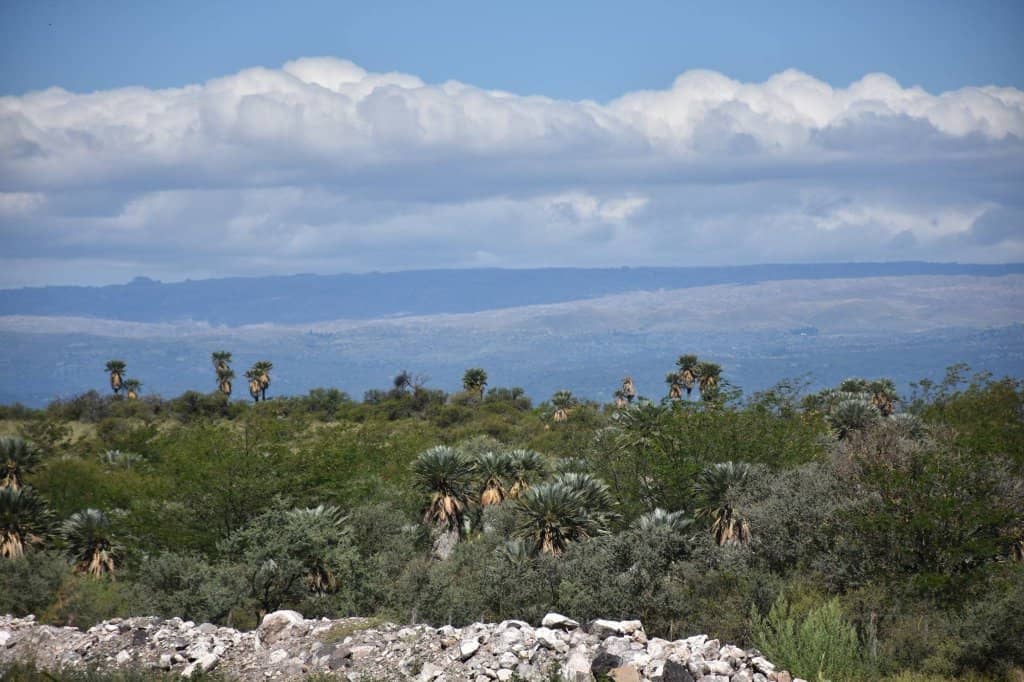 Panoramic Mountain Vistas