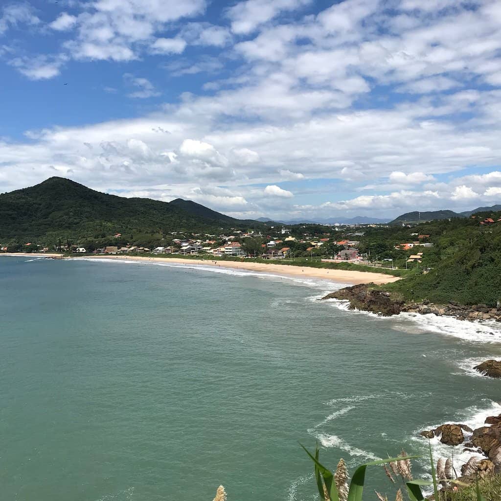 Whale Watching Opportunities