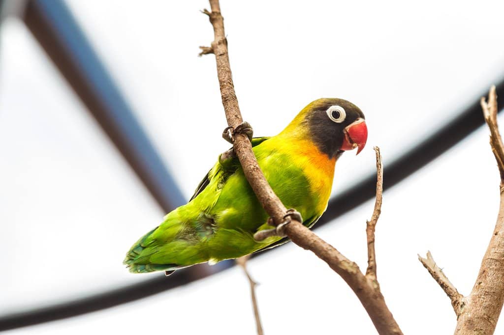 Interactive Exhibits