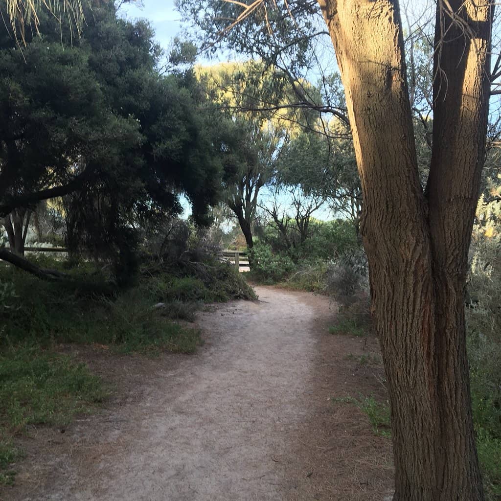 Local Artisanal Finds