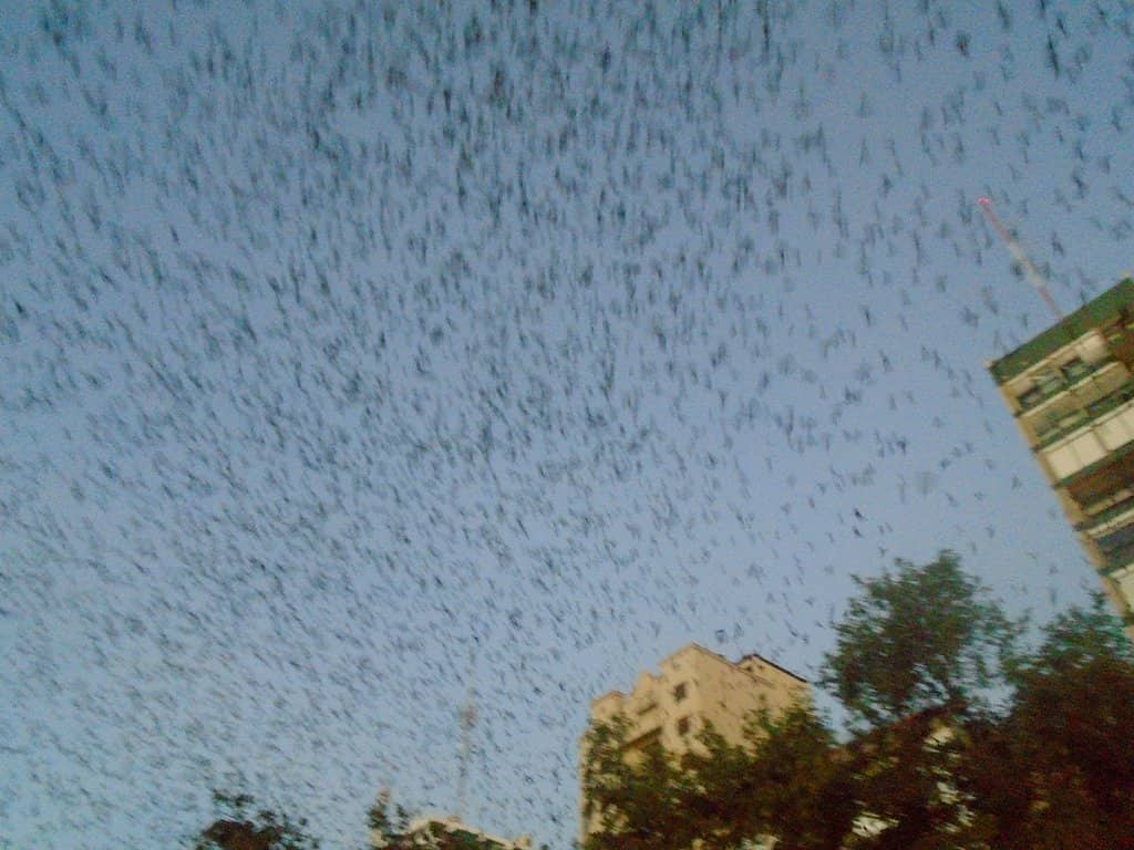 Vertical photo