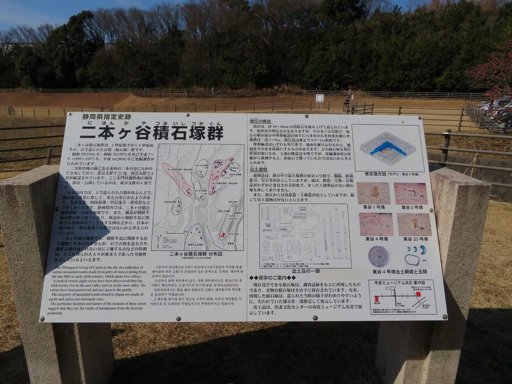 Seasonal Cherry Blossoms