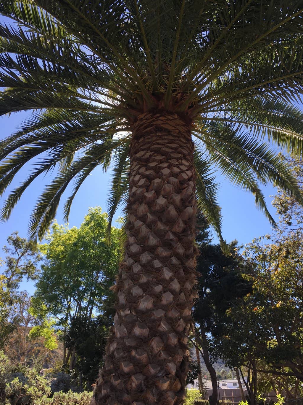 Glow-in-the-Dark Night Play