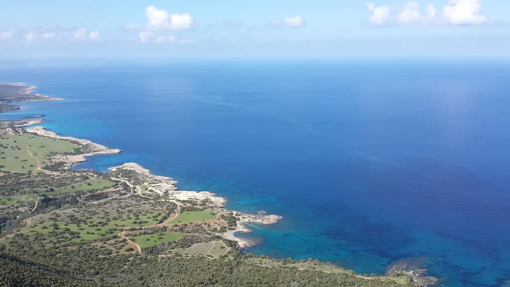 Ancient Ruins & Old Oak
