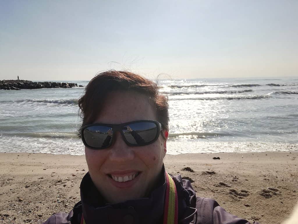 Summer Food Truck Market