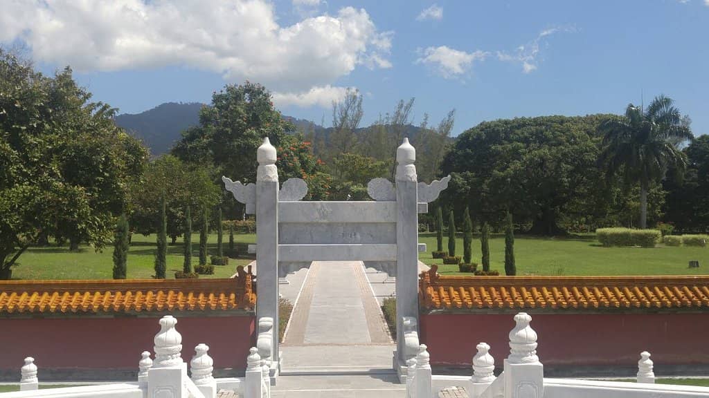 Exotic Tree Collections