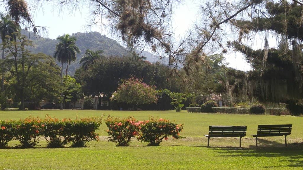 Exotic Tree Collections