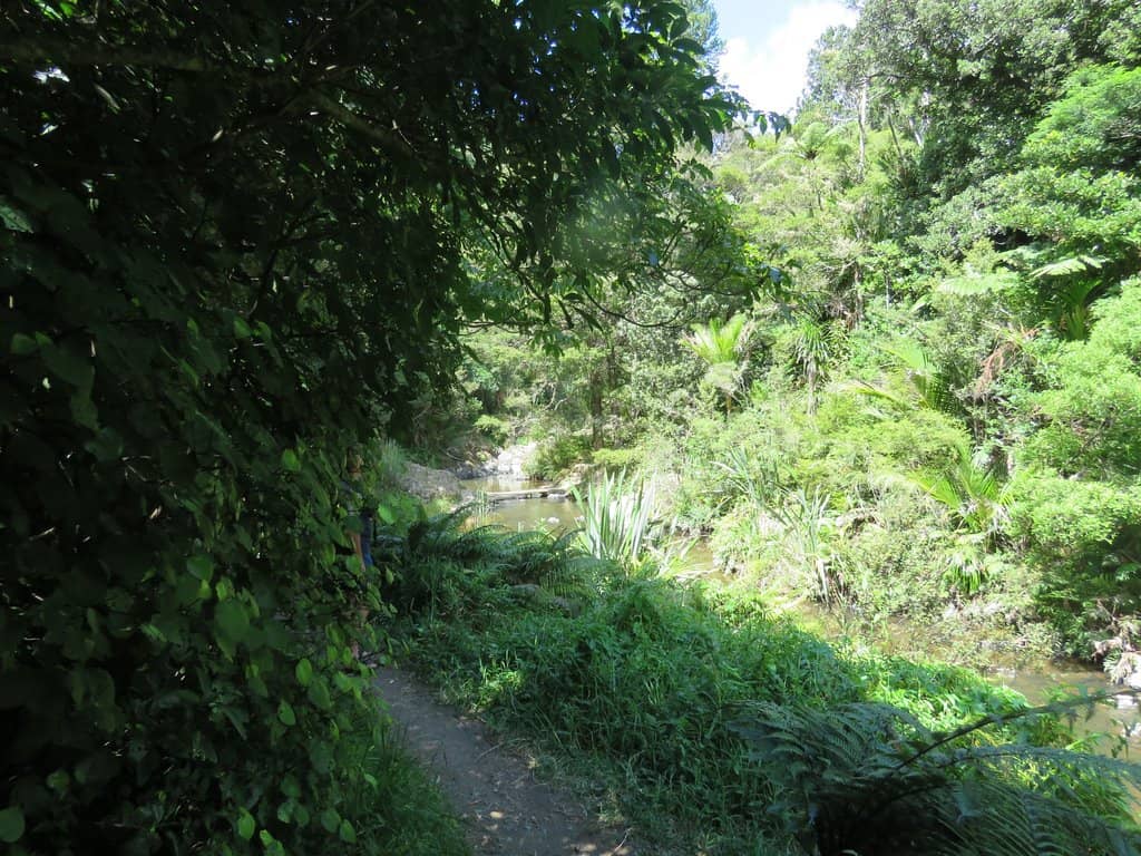 Picnic Area