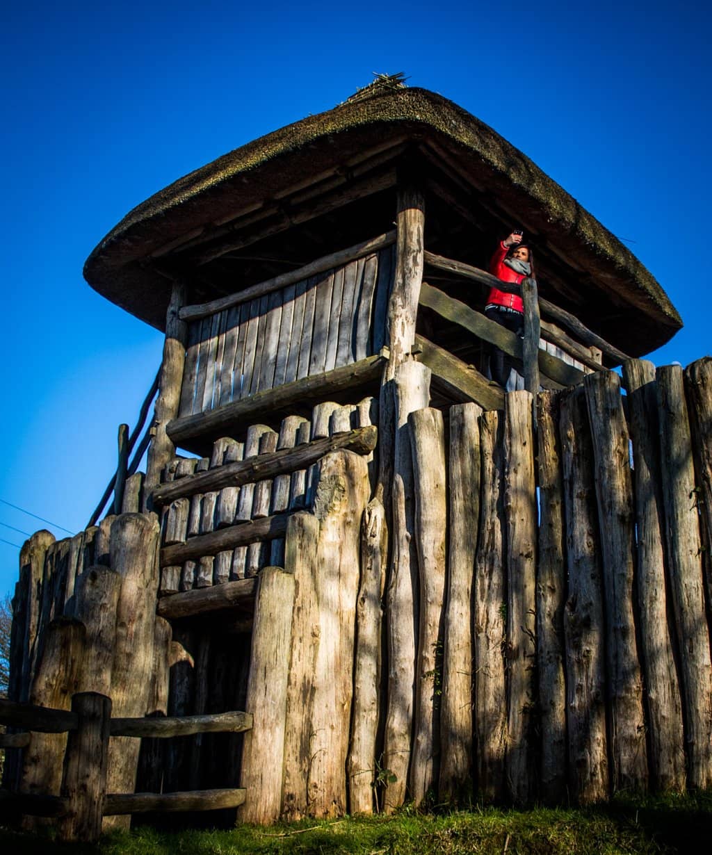 Falconry Centre