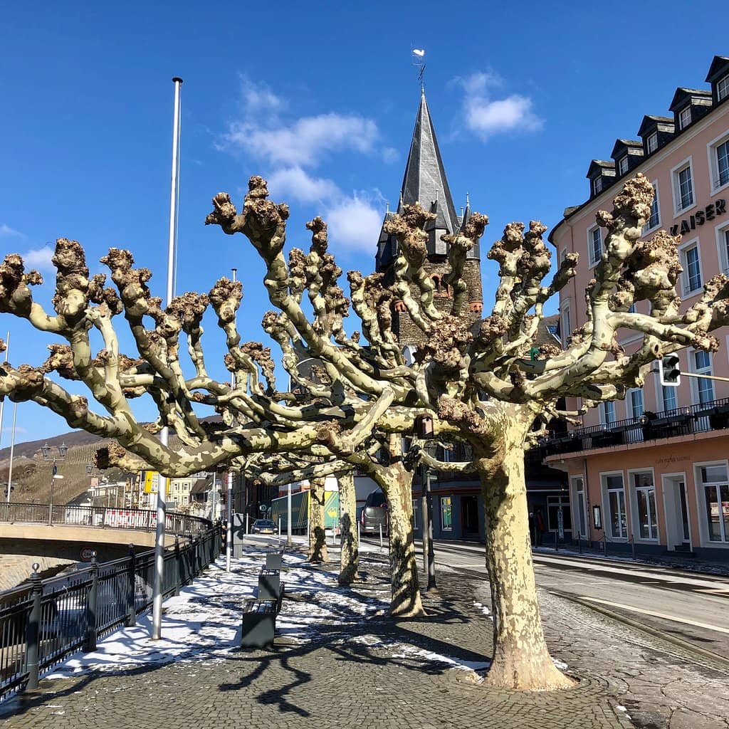 Wine Festival Atmosphere