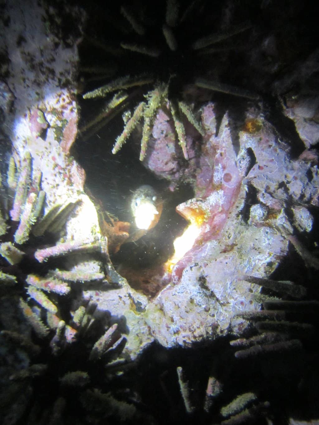 Vertical photo