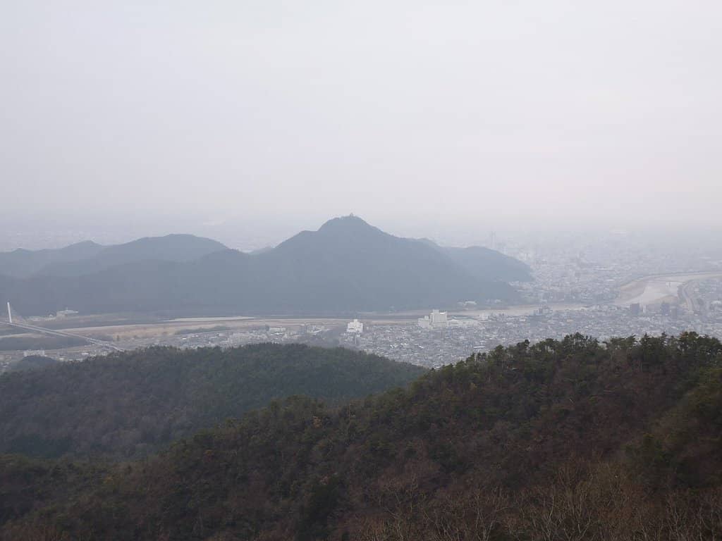 Scenic Forest Trails