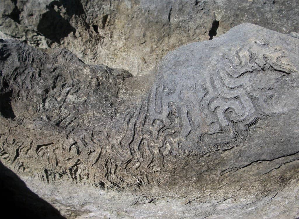 Relaxing Hammock Spots