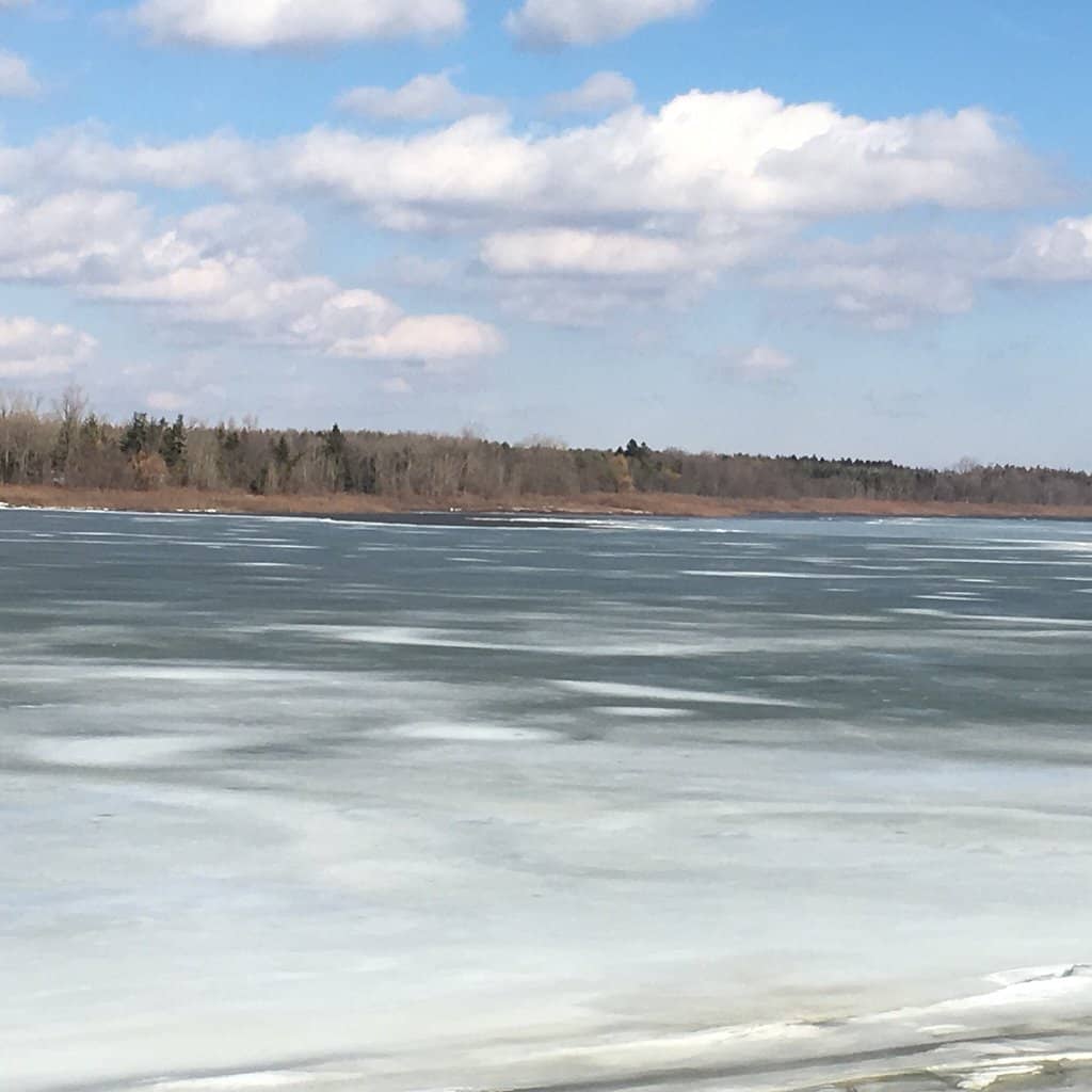 Grand River Views