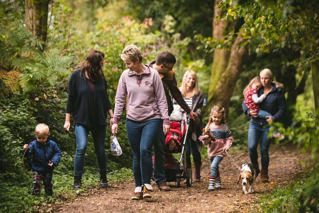 Donkey-Themed Gift Shop