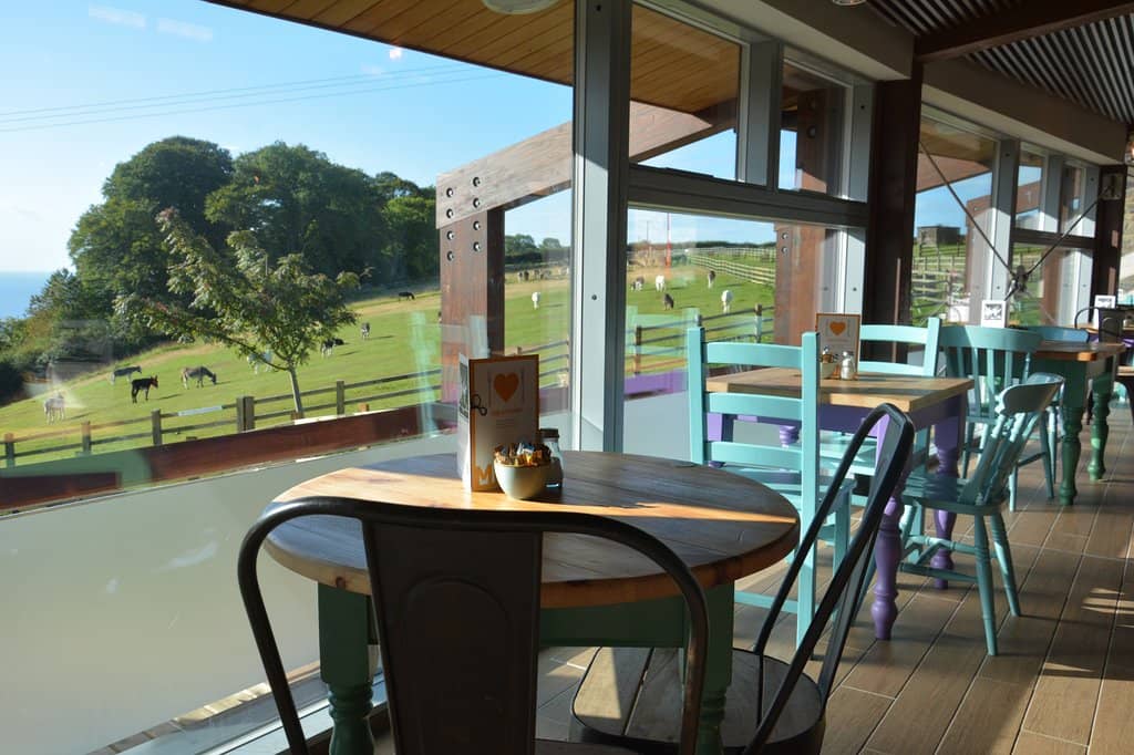 Informative Walking Trails