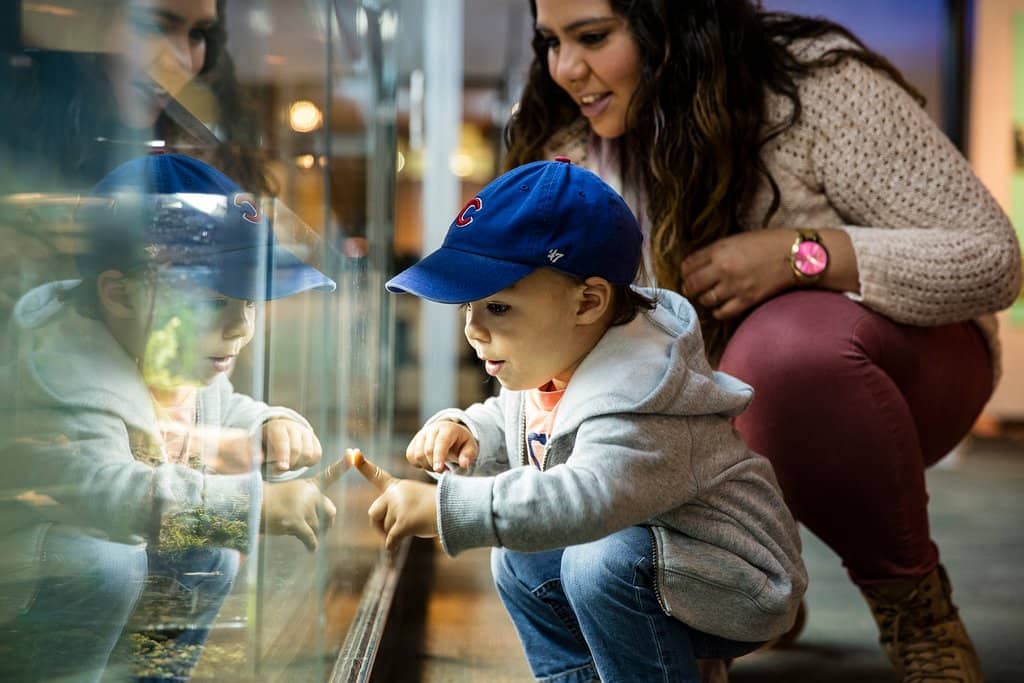 Live Animal Exhibits