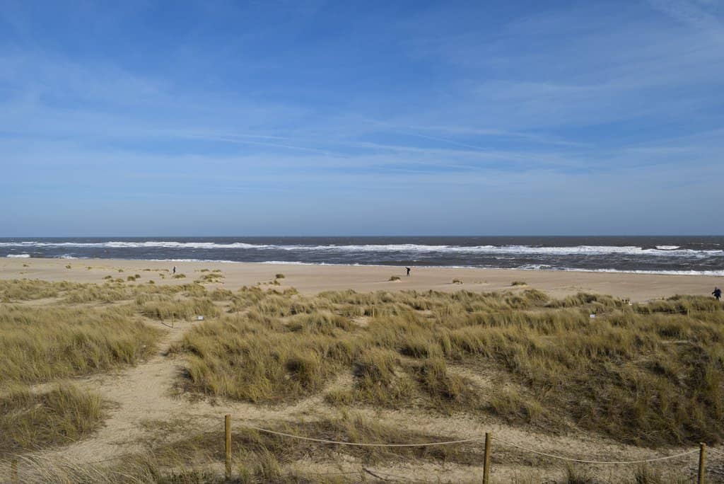 Winterton Seal Colony