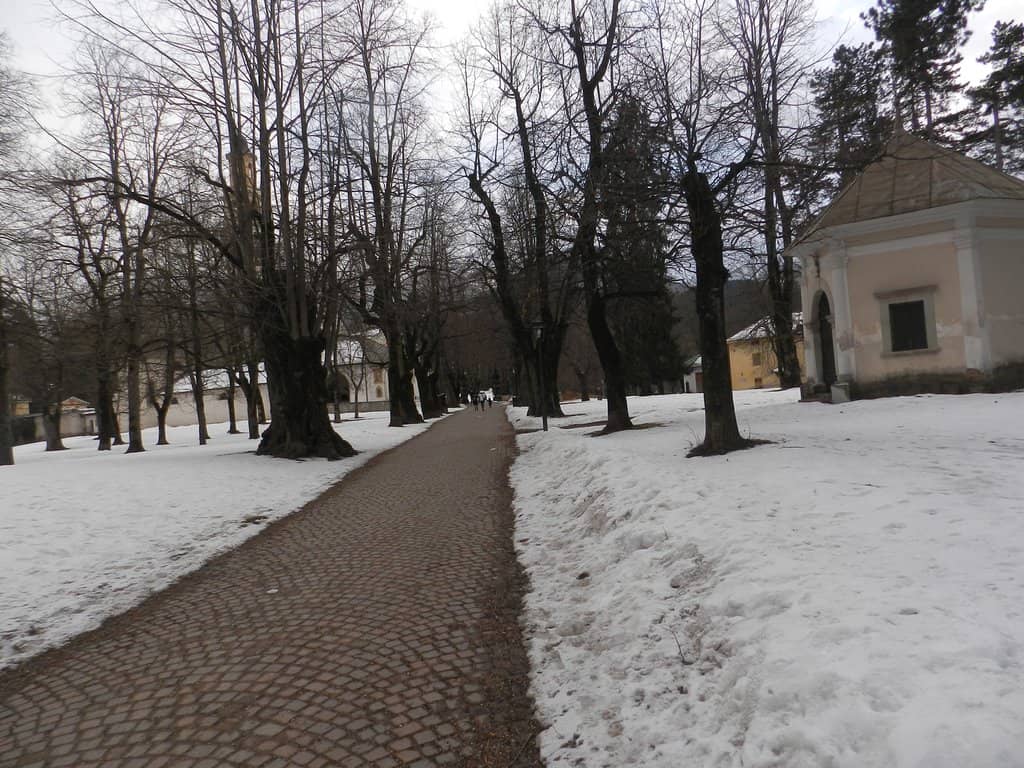 Children's Playgrounds