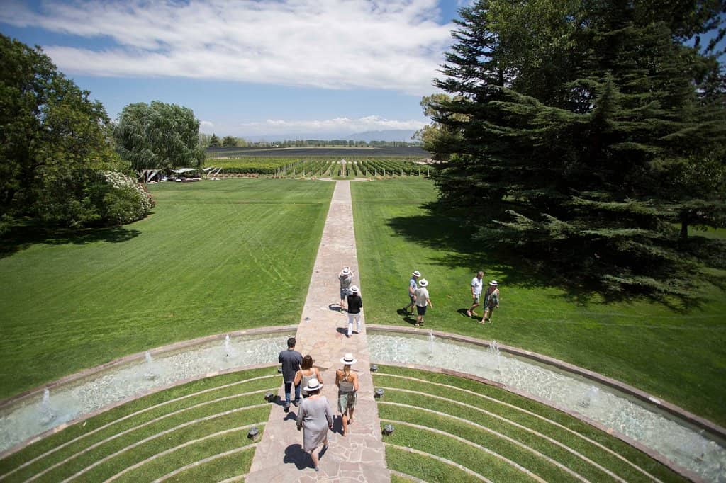 Vineyard Views