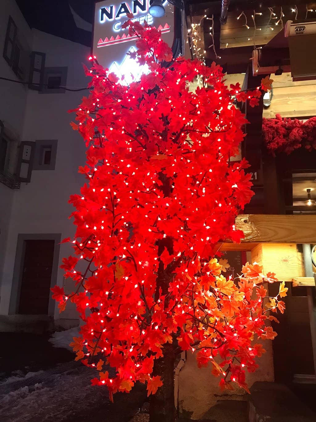 Vertical photo