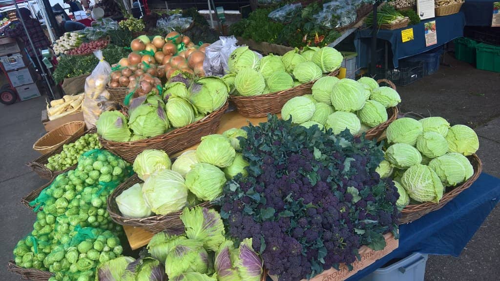 Live Music & Performances