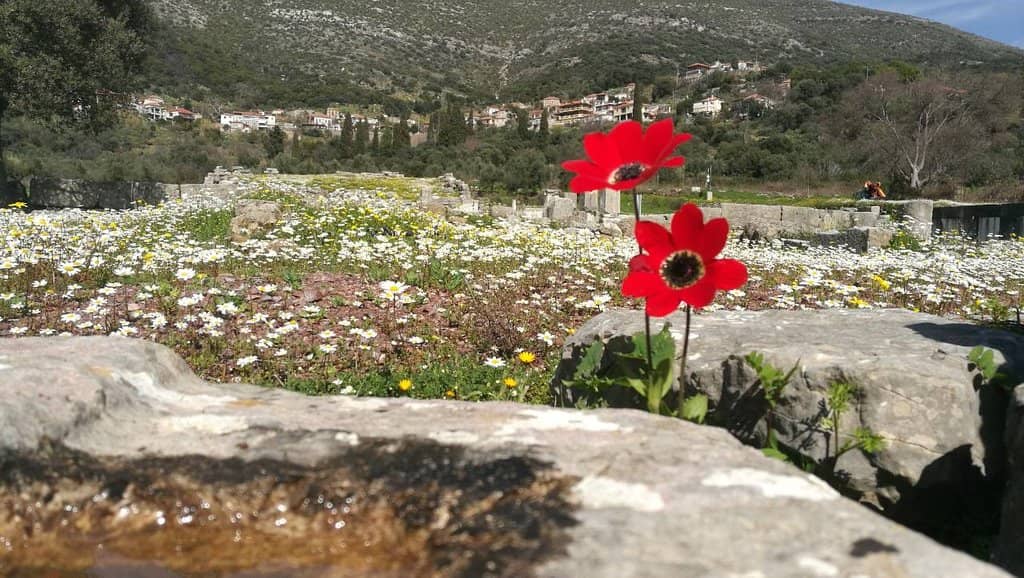 The Impressive Amphitheatre