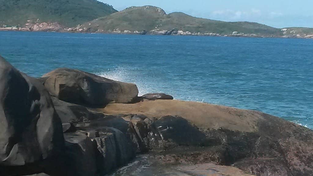 Santinho to Matadeiro Trail