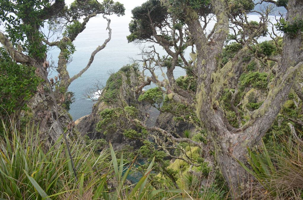 Panoramic Hilltop Views