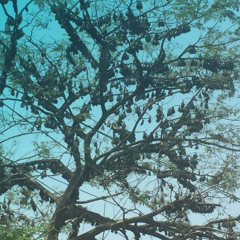 Vertical photo