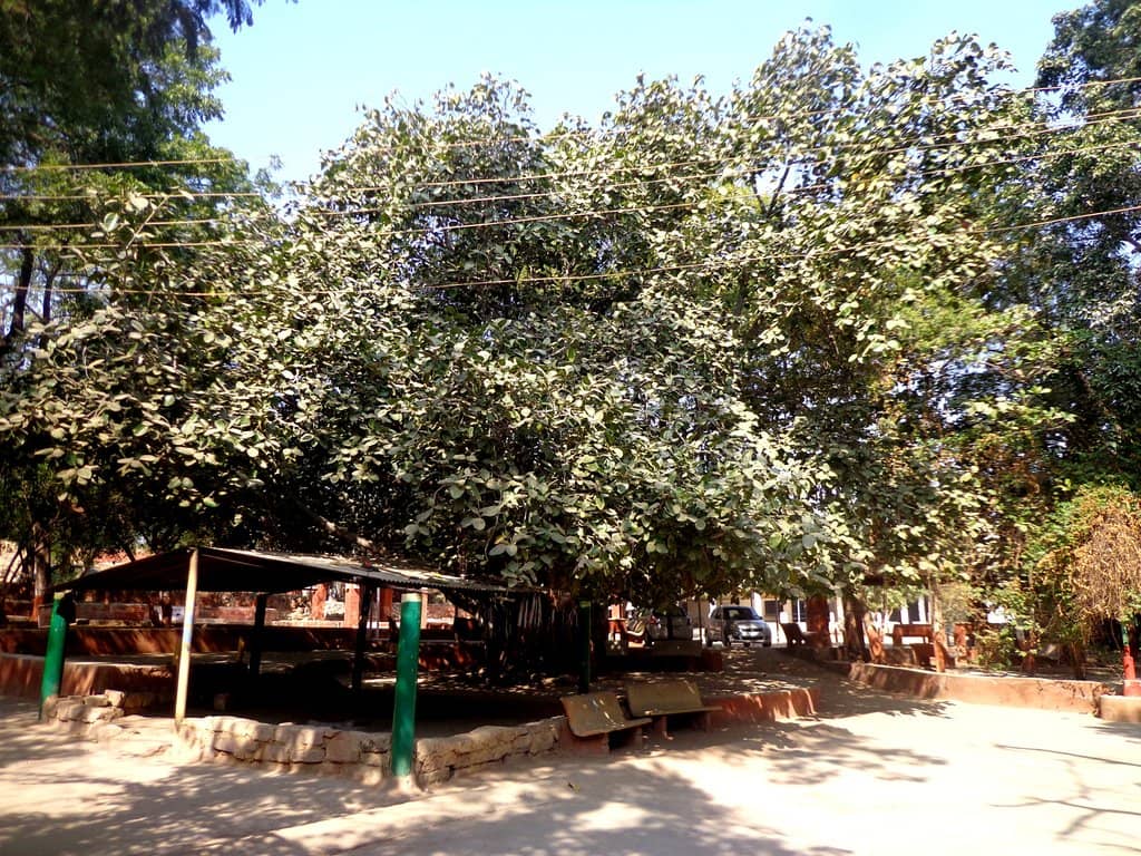 Rakshak Van
