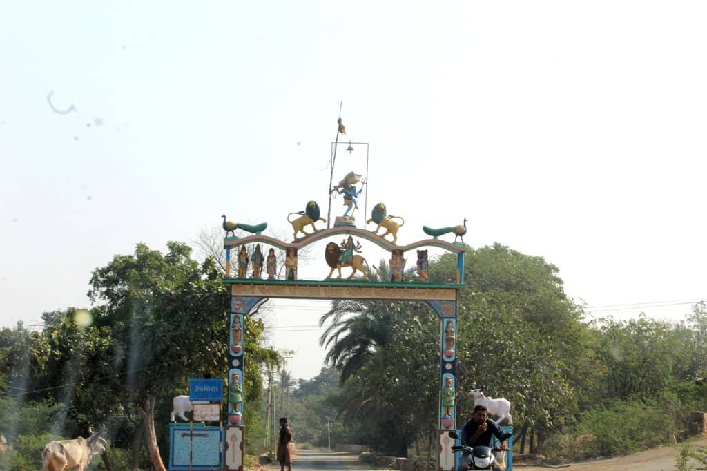 Vertical photo