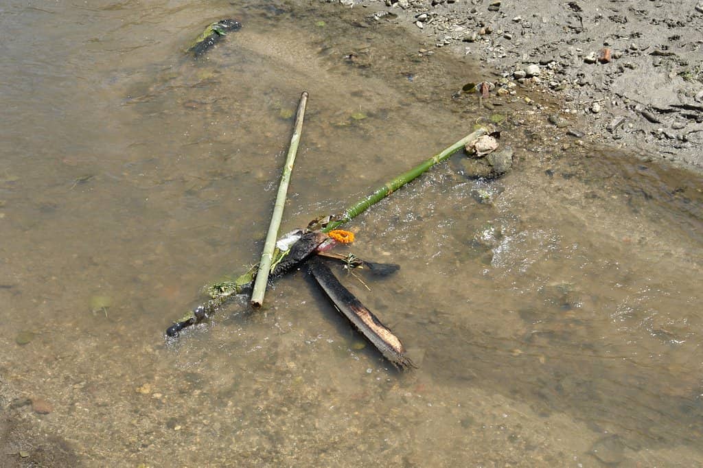 Mythological Deer Horn Legend