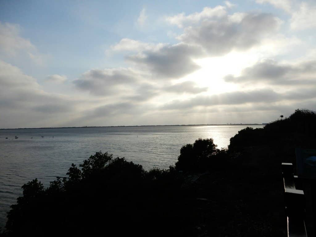 Black-faced Spoonbill Sanctuary