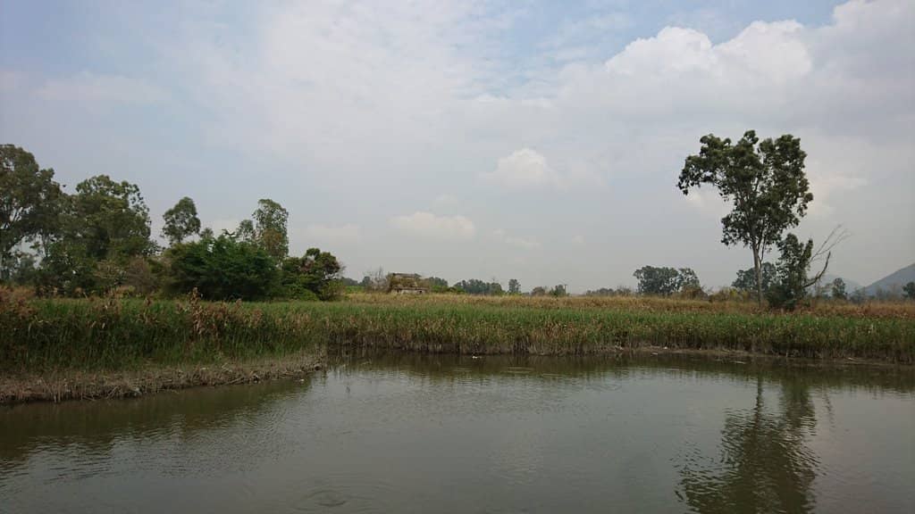 Scenic Walking Routes