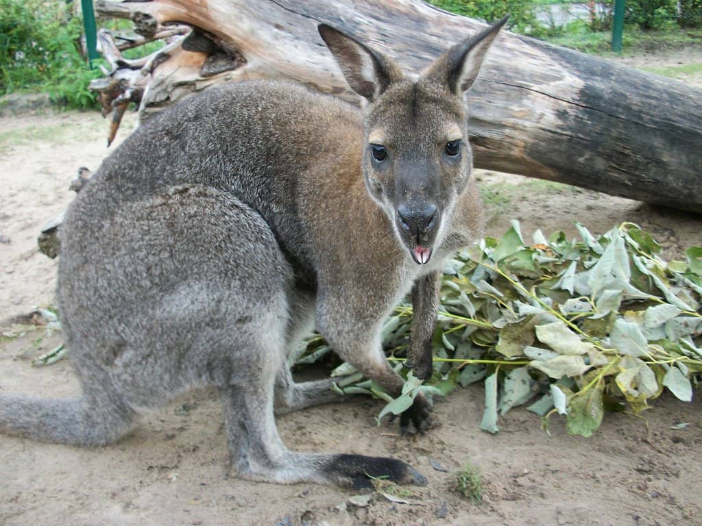 Exotarium Wonders