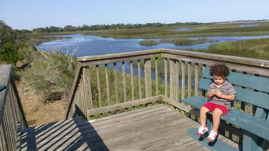 Scenic Trail Lookout