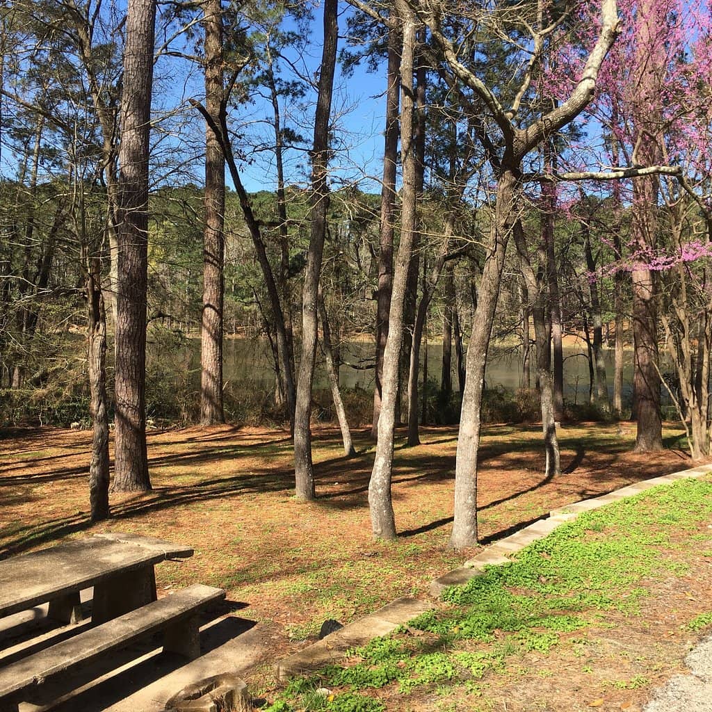 Guided Horseback Rides