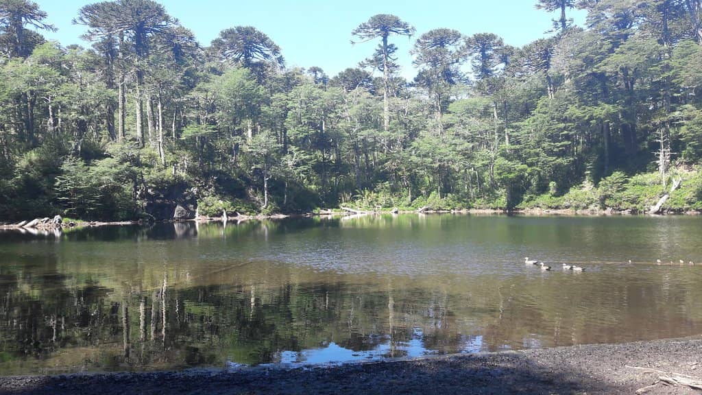 Laguna Bella