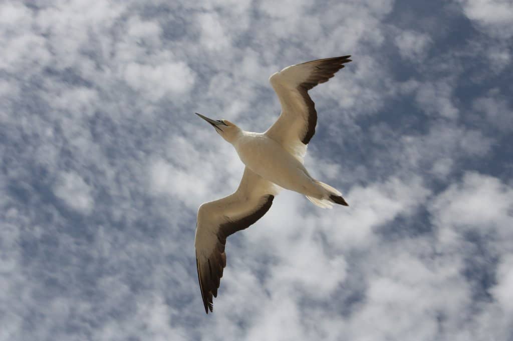 Scenic Farm and Coastal Trek