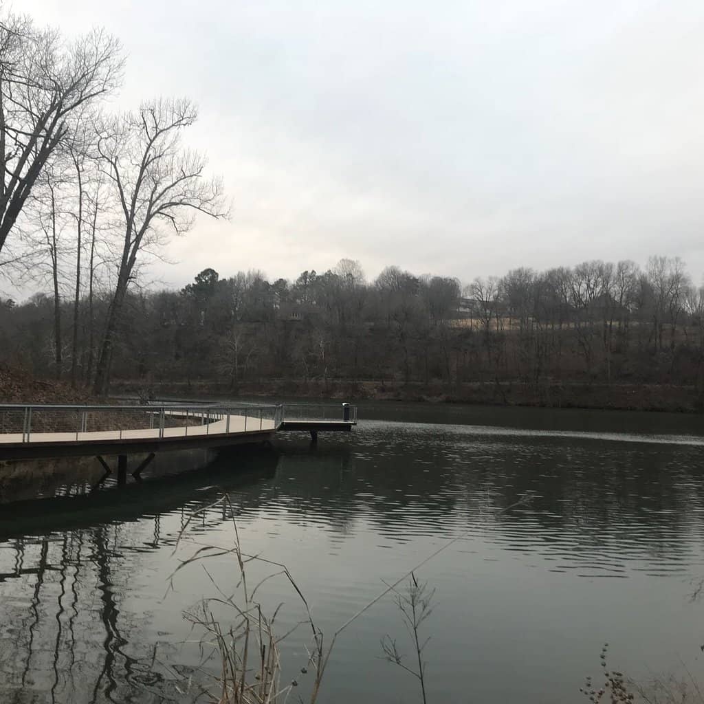 Nature-Inspired Playground