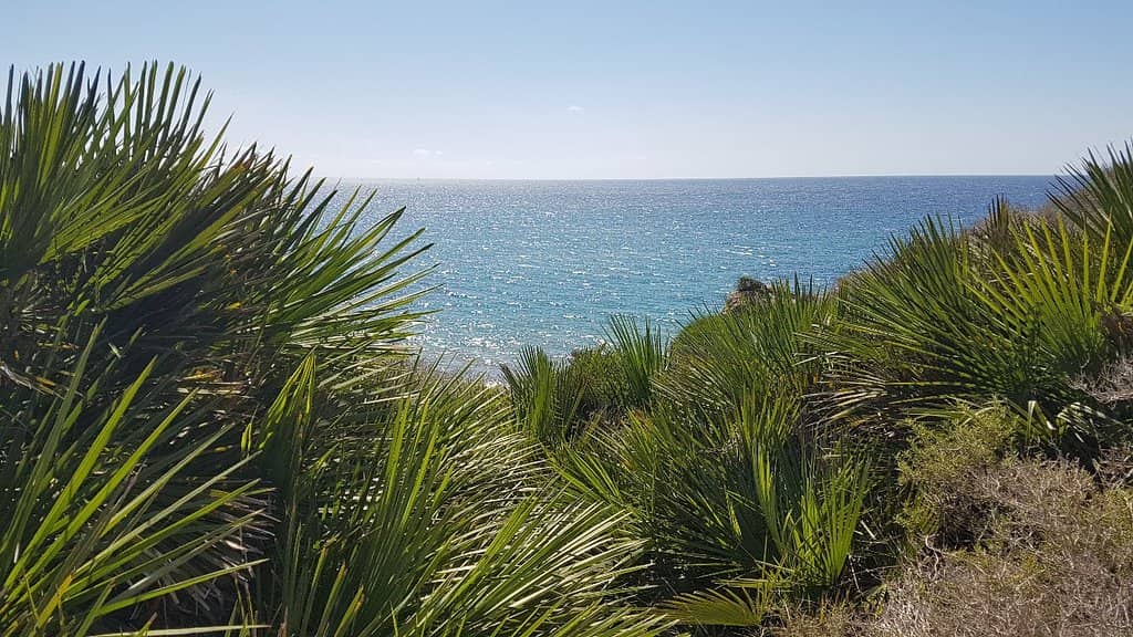 Natural Park Scenery