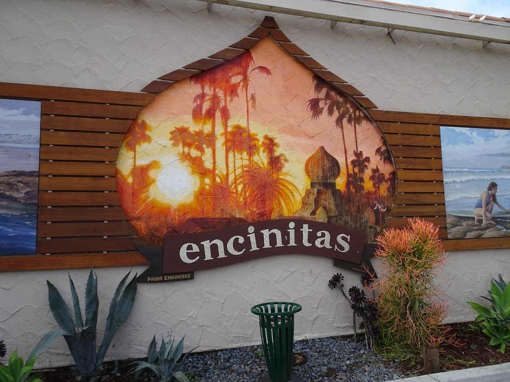 Local Boutiques & Eateries