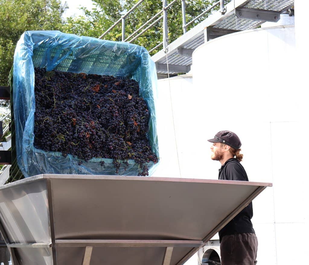 Build-Your-Own Cheese Board