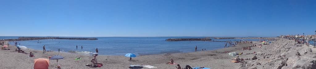Rocky Shoreline Marine Life