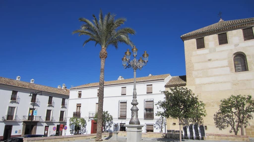 Local Life and Ambiance