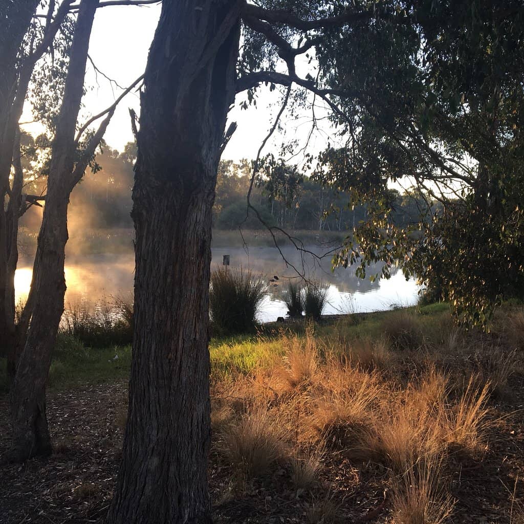 Historic Sheep Station