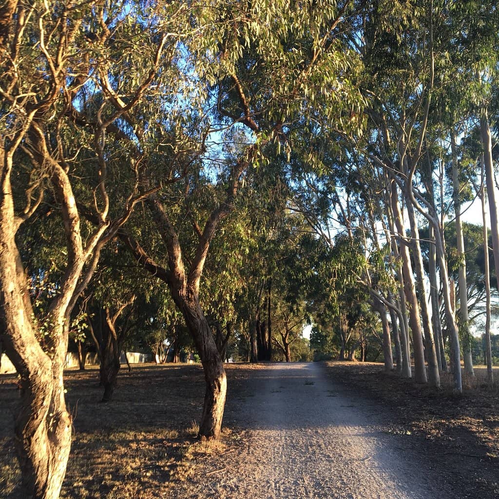 Cockatoo Haven