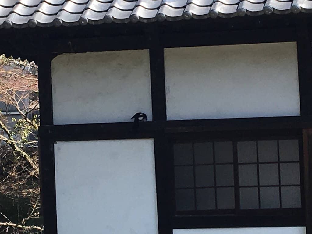 Vertical photo